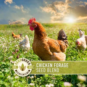 May include: A white ceramic mug with a black handle and the text "But First, Coffee" in a black, bold font. The mug is on a white surface.