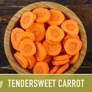 Tendersweet Carrot Heirloom Seeds Seed Packets, Orange Carrot Seeds, Juicing Carrot, Rainbow Carrot, Easy to Grow, Open Pollinated,Non-GMO image 6