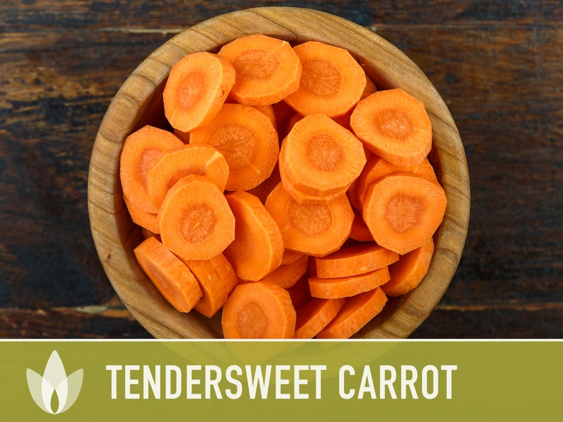 Tendersweet Carrot Heirloom Seeds Seed Packets, Orange Carrot Seeds, Juicing Carrot, Rainbow Carrot, Easy to Grow, Open Pollinated,Non-GMO image 6