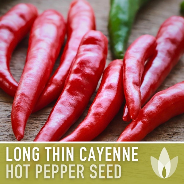 Cayenne Long Red Thin Hot Pepper Heirloom Seeds