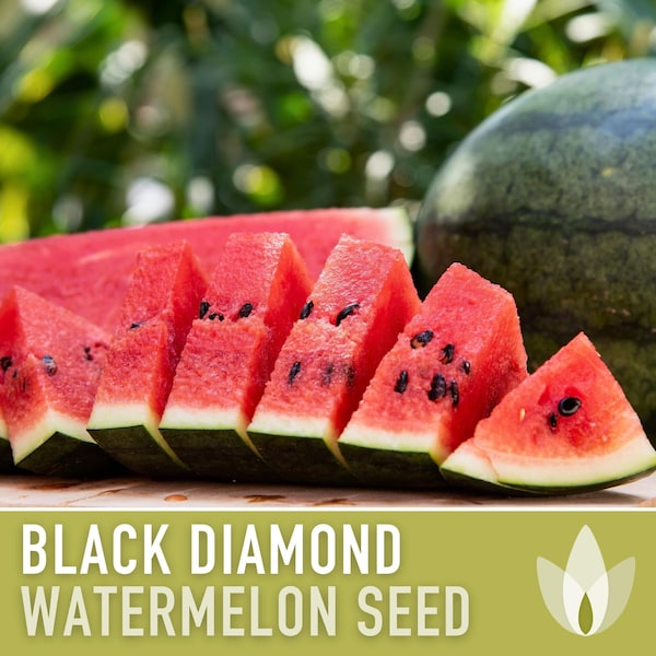 Black Diamond Watermelon Heirloom Seeds