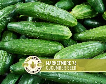 May include: A close-up of a pile of green cucumbers. The cucumbers are oblong and have a bumpy texture. A banner in the image reads "MARKETMORE 76 CUCUMBER SEED" and includes the SeedGeeks logo. The cucumbers are a vibrant green colour.