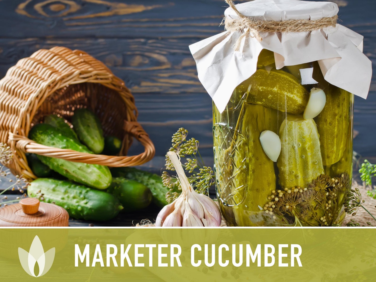 Marketer Cucumber Seeds - Heirloom, Non-GMO, 25+ Seeds For Home Gardening