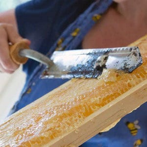 Raw Wildflower Honey | 1 lb Glass, Unheated, Untreated, Farm to Table, Keto Friendly, Gourmet Honey image 4