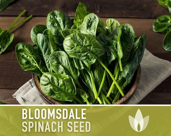 Bloomsdale Spinach Heirloom Seeds - Slow to Bolt, Cool Season Greens, Container Garden, Fresh Salad Greens, Open Pollinated, Non-GMO