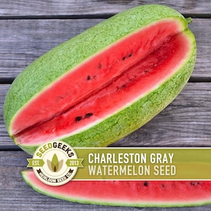 Charleston Gray Watermelon Seeds – Heirloom, Super Sweet Red Flesh