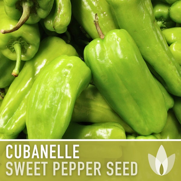 Cubanelle Pepper Seeds - Heirloom Seeds, Sweet Cuban Pepper, Colorful Bell Pepper, Italian Frying Pepper, Open Pollinated, Non-GMO