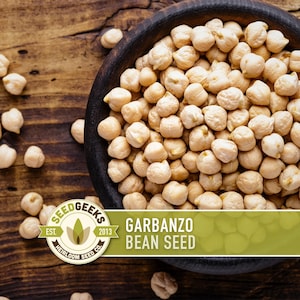 May include: A wooden bowl filled with dried garbanzo beans, with some beans scattered on a wooden surface. The image includes the text "Garbanzo Bean Seed" and a logo for Seed Geeks.