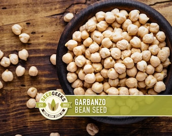 Heirloom Garbanzo Bean Seeds – Untreated, Open Pollinated