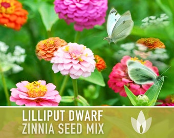 Zinnia (Dwarf), Lilliput Mix Heirloom Seeds - Flower Seeds, Flower Mix, Dwarf Flowers, Mixed Zinnia