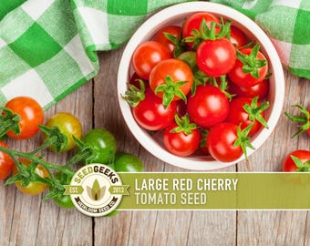 Heirloom Large Red Cherry Tomato Seeds – Non-GMO Salad Variety