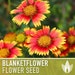 see more listings in the Flower Seeds section