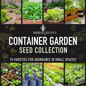 10 Things to look for in a Gardener's Seed Box - Chester & Cooke