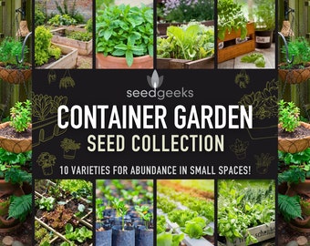 Container Garden Seed Collection – 10 Heirloom Varieties, Small Space Gardening