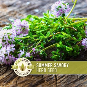 May include: Close-up of summer savory herb with small purple flowers and green leaves. The image is set on a rustic wooden surface. The text "Summer Savory Herb Seed" is displayed on a green banner.
