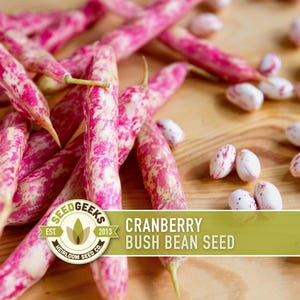 Peut inclure: Gros plan sur des graines et des gousses de haricots cranberry. Les gousses sont roses et blanches, et les graines sont blanches avec des mouchetures roses. L'image comprend le texte "Cranberry Bush Bean Seed" et le logo Seed Geeks.