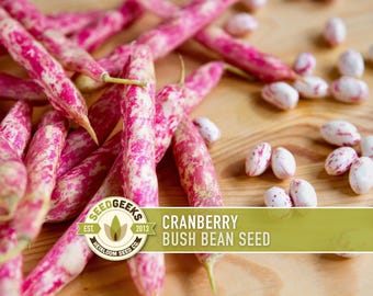 May include: Close-up of cranberry bush bean seeds and pods. The pods are pink and white, and the seeds are white with pink speckles. The image includes the text "Cranberry Bush Bean Seed" and the Seed Geeks logo.