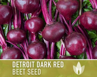 Detroit Dark Red Beet Seeds - Heirloom, Cold Hearty, Open Pollinated, Non-GMO