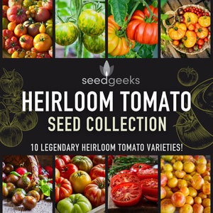 Heirloom Tomato Seed Collection - A 5-Star Selection of 10 Legendary Heirloom Tomatoes, Seed Kit, Gift for Gardener, OP, Non-GMO