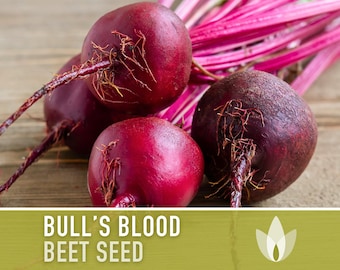 Bulls Blood Beet Heirloom Seeds