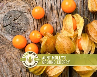 Aunt Molly's Ground Cherry Seeds | 25+ Seeds, Heirloom Fruit for Salsa, Jam, Physalis pruinosa