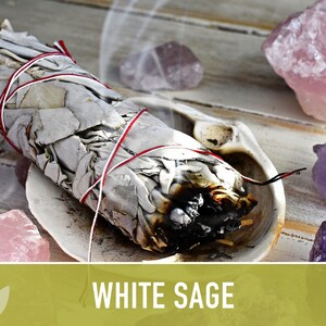 White Sage Seeds | 50+ Seeds, Heirloom, Ceremonial, Non-GMO, Sacred Medicinal Herb, Smudging, Salvia apiana image 3