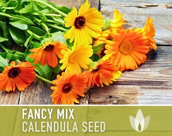 Calendula Officinalis, Fancy Mix Heirloom Seeds, Flower Seeds