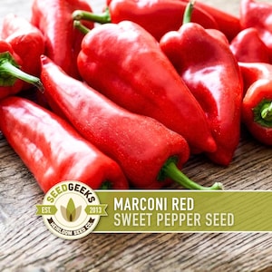 May include: A close-up of several bright red Marconi sweet peppers with green stems. The peppers are arranged on a wooden surface. The image includes a logo that reads "Seed Geeks" and the text "Marconi Red Sweet Pepper Seed."