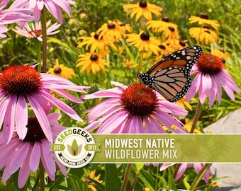 Midwest Native Wildflower Seeds Mix, Heirloom