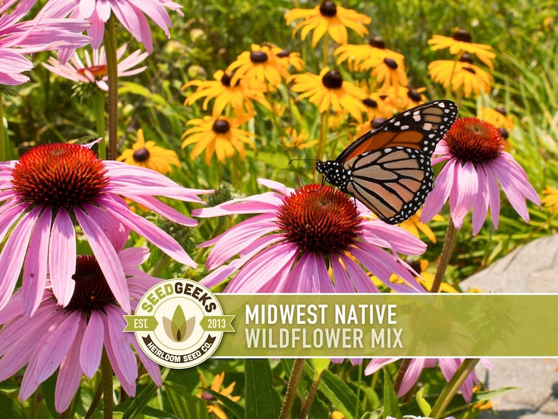 Midwest Native Wildflower Seeds Mix, Heirloom image 1