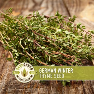 May include: A close-up of a bundle of fresh thyme sprigs with green leaves and reddish-brown stems, resting on a weathered wooden surface. The image includes a logo that reads "Seed Geeks" and the text "German Winter Thyme Seed."