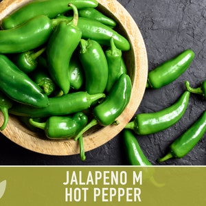 Jalapeno Pepper Heirloom Seeds image 4