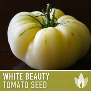 White Beauty Tomato Heirloom Seeds - Snowball Tomato, Indeterminate, Open Pollinated, Non-GMO