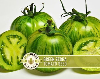 May include: Close-up of several green zebra tomatoes, some whole and some sliced, showcasing their vibrant green and yellow striped pattern. The image includes the text "Green Zebra Tomato Seed" and a logo for Seed Geeks.