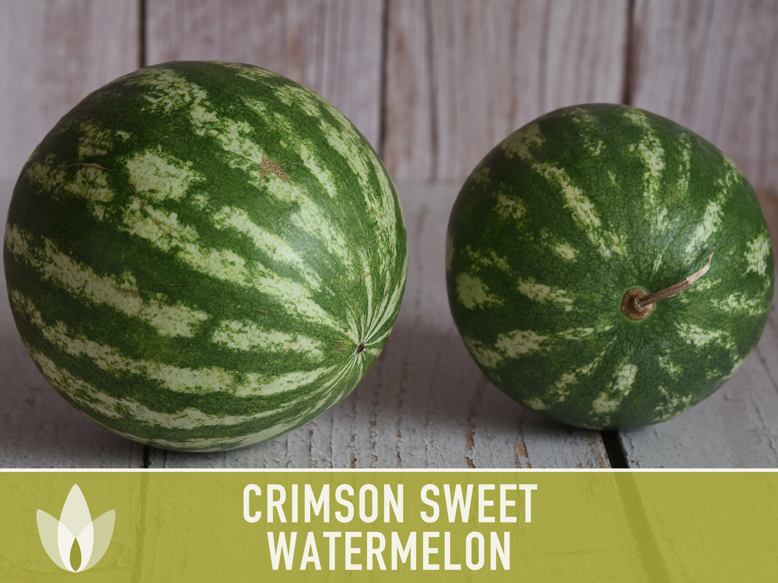 Semillas tradicionales de sandía dulce carmesí: polinización abierta, sin  OGM - Etsy México, image size:2700x2025