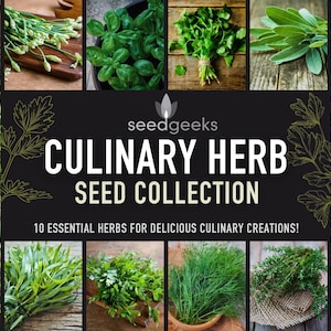 Culinary Herb Seed Collection - 10 Flavorful Heirloom Herbs for Delicious Culinary Creations, Birthday Gift, Stocking Stuffer, OP, Non-GMO