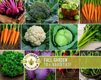 Fall Garden Seeds | Autumn Season Vegetables, Broccoli Spinach Kale Radish Beet Carrot Cabbage
