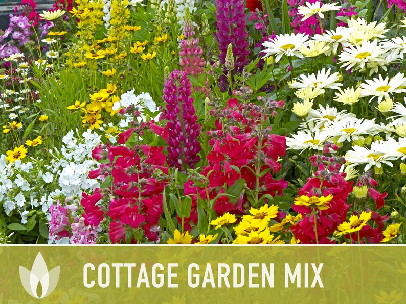 Cottage Garden Wildflower Seed Mix Seed Packets Heirloom Etsy