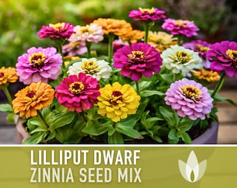 Mother Nature's Seeds Lilliput Zinnia Mix - 200 Heirloom Pollinator Seeds, Non-GMO, Mixed Colors