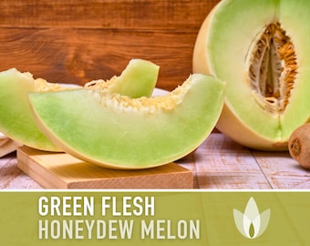 Honeydew Green Flesh Melon Heirloom Seeds - Fruit Seeds, Non GMO, Open Pollinated