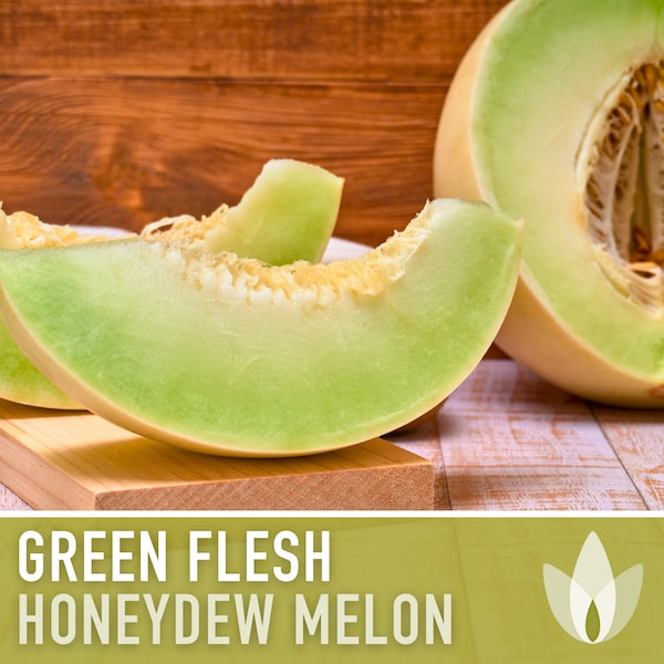 Honeydew Green Flesh Melon Heirloom Seeds - Fruit Seeds, Non GMO, Open Pollinated