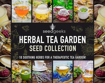May include: A collage of images showcasing herbal tea. The central image features the text "HERBAL TEA GARDEN SEED COLLECTION" and "10 soothing herbs for a therapeutic tea garden!" Various cups, teapots, and ingredients are displayed.