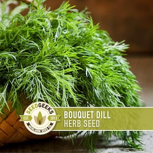 a basket filled with fresh green dill leaves, with a logo and text overlay indicating that it is a bouquet dill herb seed.