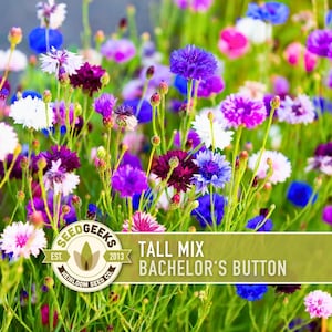 May include: A vibrant field of Tall Mix Bachelor's Button flowers in shades of blue, purple, pink, and white. The flowers are in full bloom, with green stems and leaves. The image includes the Seed Geeks logo and text.