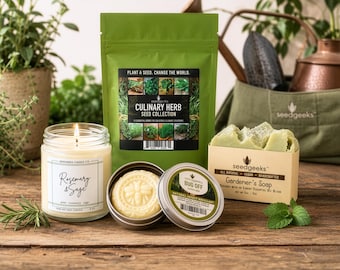 Gardener Gift Bundle | Culinary Herb Seeds, Rosemary Sage Candle, Handmade Soap, Bug-Off Lotion Bar