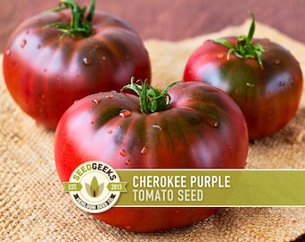 Puede incluir: Tres tomates Cherokee Purple maduros, con tonos rojos oscuros y verdes, con gotas de agua. Están sobre una superficie texturizada y beige. Un logo dice "SEED GEEKS" y "CHEROKEE PURPLE TOMATO SEED".