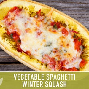 Vegetable Spaghetti Winter Squash Heirloom Seeds image 7