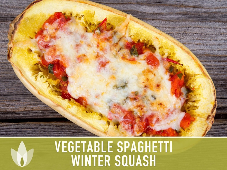 Vegetable Spaghetti Winter Squash Heirloom Seeds image 7