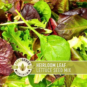 May include: Close-up of a mix of fresh heirloom lettuce leaves in various shades of green and red. The image includes a logo that reads "Seed Geeks" and the text "Heirloom Leaf Lettuce Seed Mix."