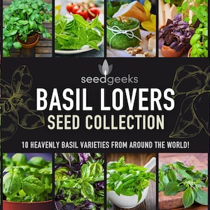 Heirloom Basil Seed Collection – 10 Culinary Varieties, Non-GMO